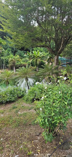 L'ECRIN BLEU SEA VIEW DIAMOND ROCK