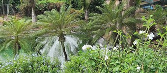 L'ECRIN BLEU SEA VIEW DIAMOND ROCK