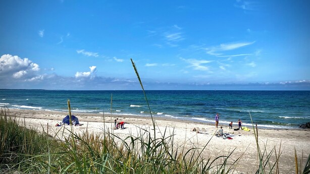 A beach with a tent and people. - Furnished Home by Sea & Fjords - Perfect for Remote Work Coastal Artist's Haven (Hundested)