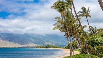 Condo, 1 chambre | Plage | Sur la plage