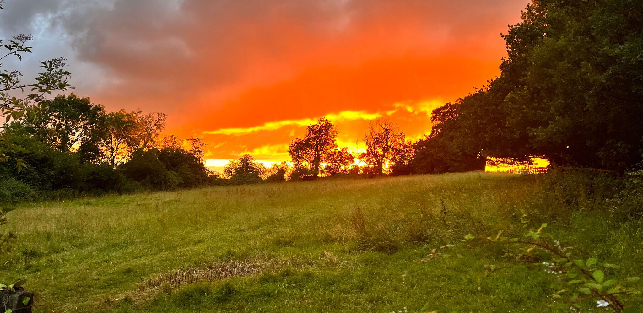 A sunset over a grassy field with trees and a wooden fence.