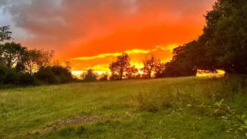 A sunset over a grassy field with trees and a wooden fence.