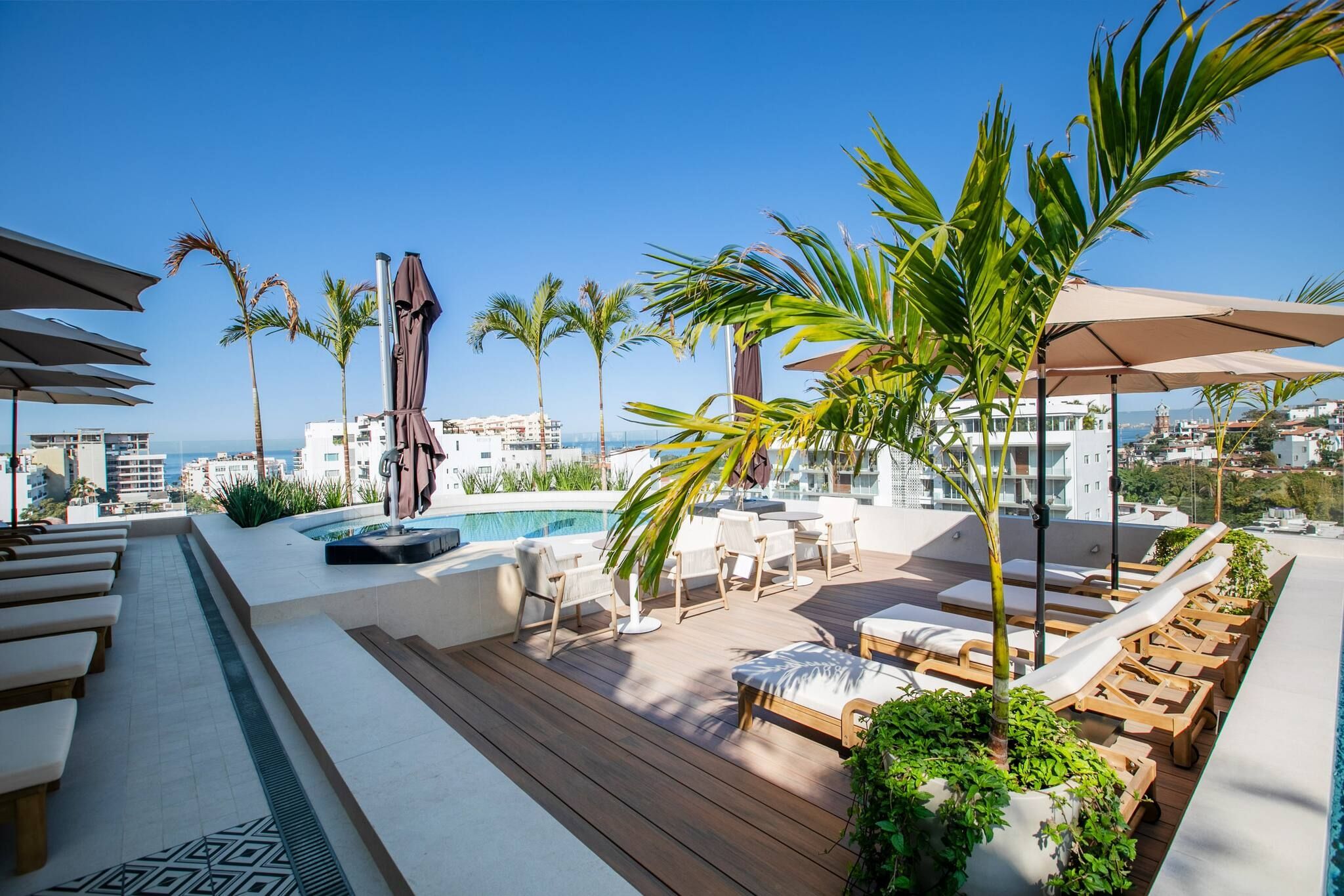 Un espace piscine aménagé sur le toit, avec des chaises longues, des parasols et des palmiers.