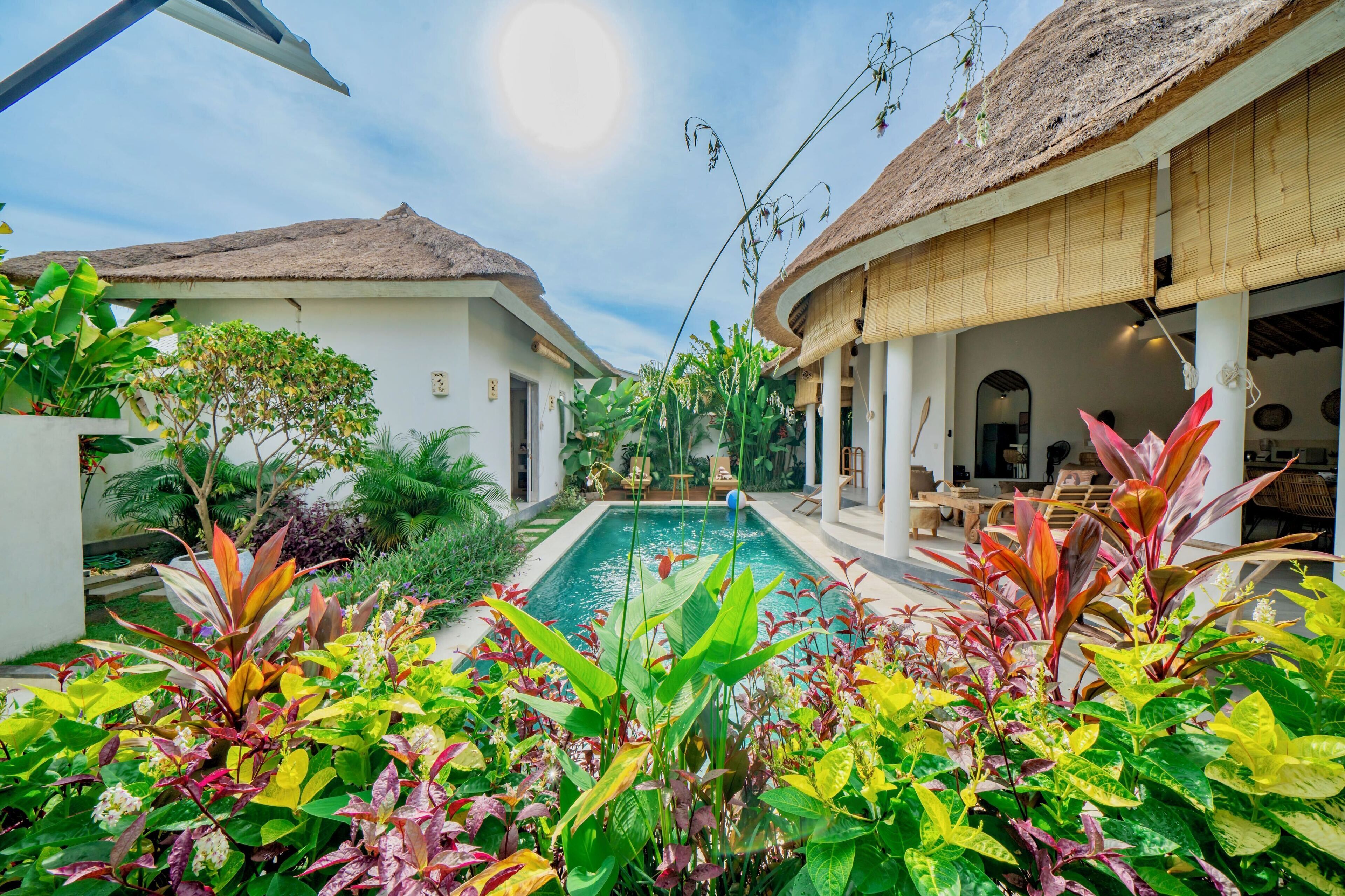 A pool surrounded by lush greenery and thatched-roof buildings.