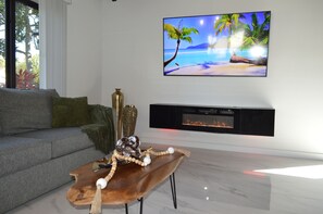 Smart TV, fireplace, ping pong, computer monitors