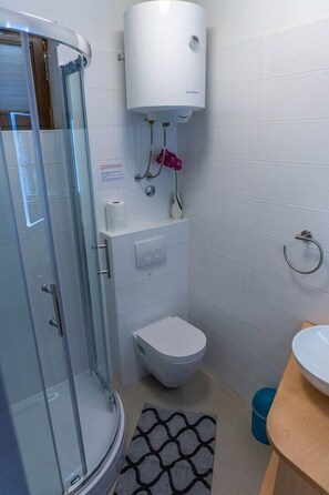 Bathroom features a glass-enclosed shower, toilet, and sink with a countertop.