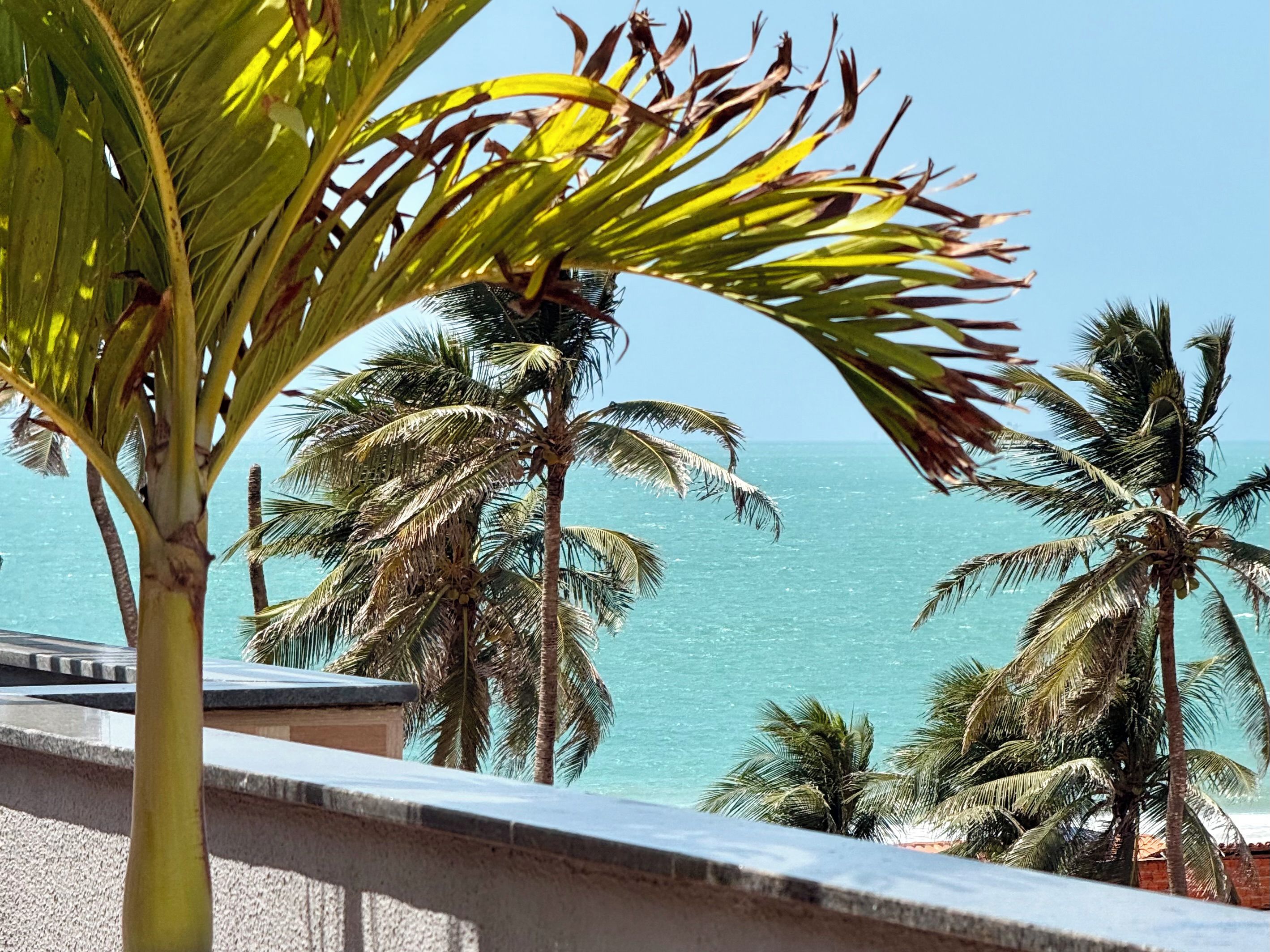 Uma varanda com vista para o oceano e palmeiras.