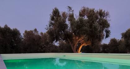 Villa in countryside surrounded by olive trees in Puglia, Southern Italy + pool