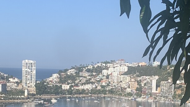 Panoramica costiera con edifici, un porto turistico e barche.