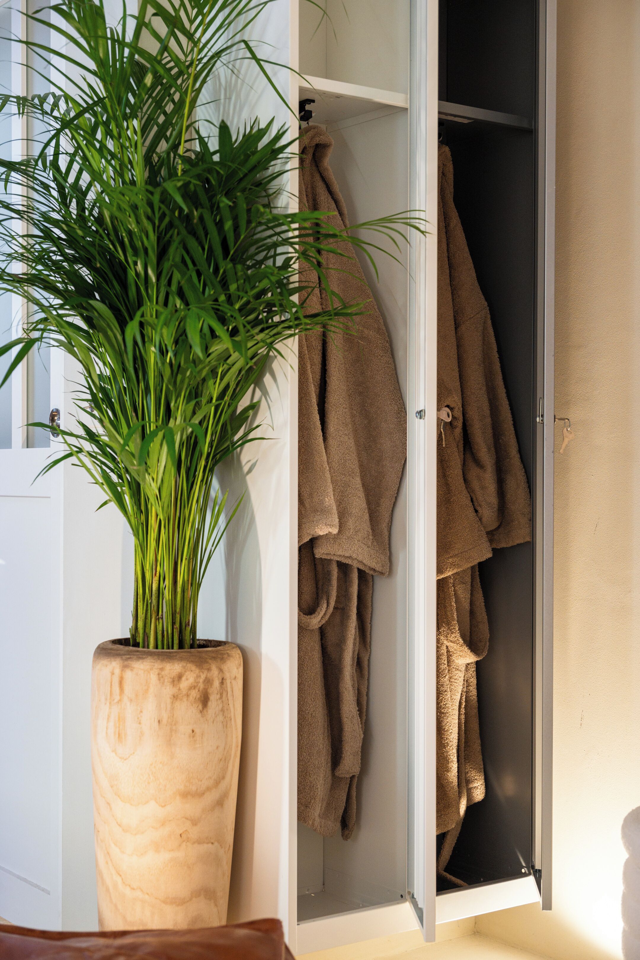 A bathroom with a large potted plant, a towel rack with towels, and a partially open door.