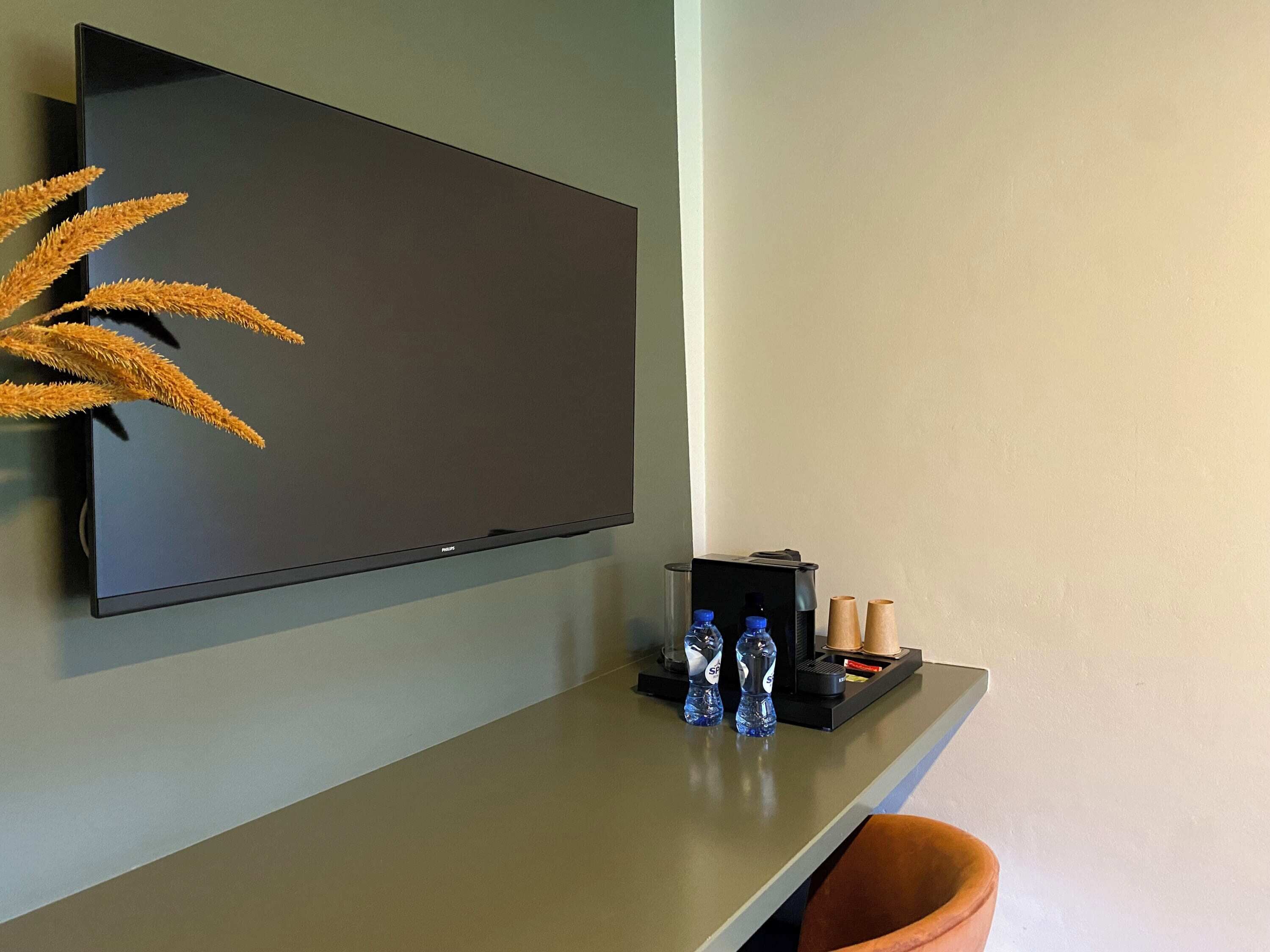 Un téléviseur à écran plat fixé au mur, une petite étagère avec deux bouteilles d’eau et une plante décorative.