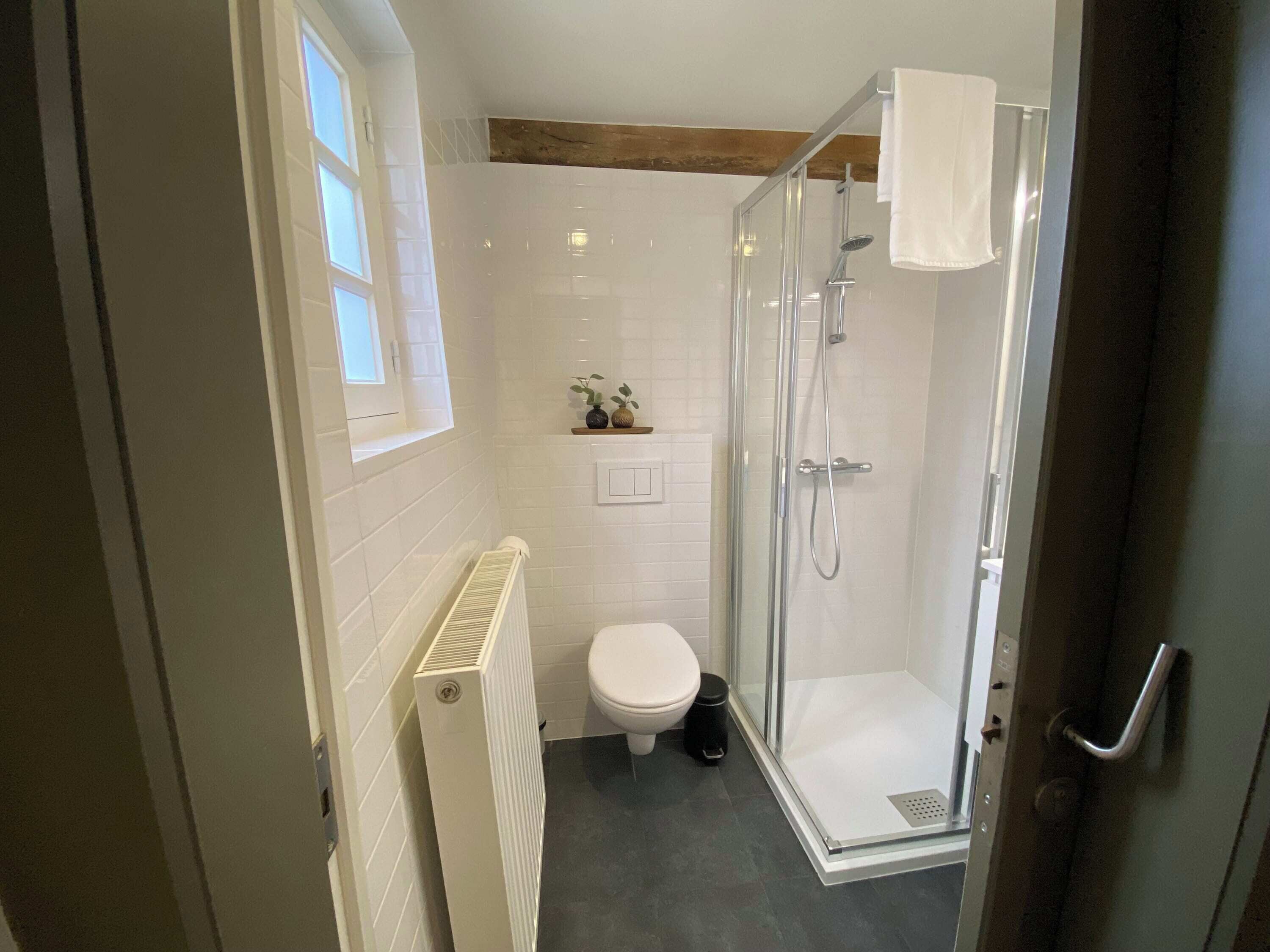 Un bagno moderno con box doccia in vetro, un water bianco e un termosifone.