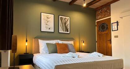 Deluxe room B1