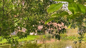 A serene pond surrounded by lush greenery and a brick building in the background.