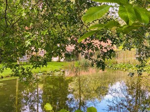 Property grounds - A2. De Fjord: duplexsuite with terrace (Oudsbergen)