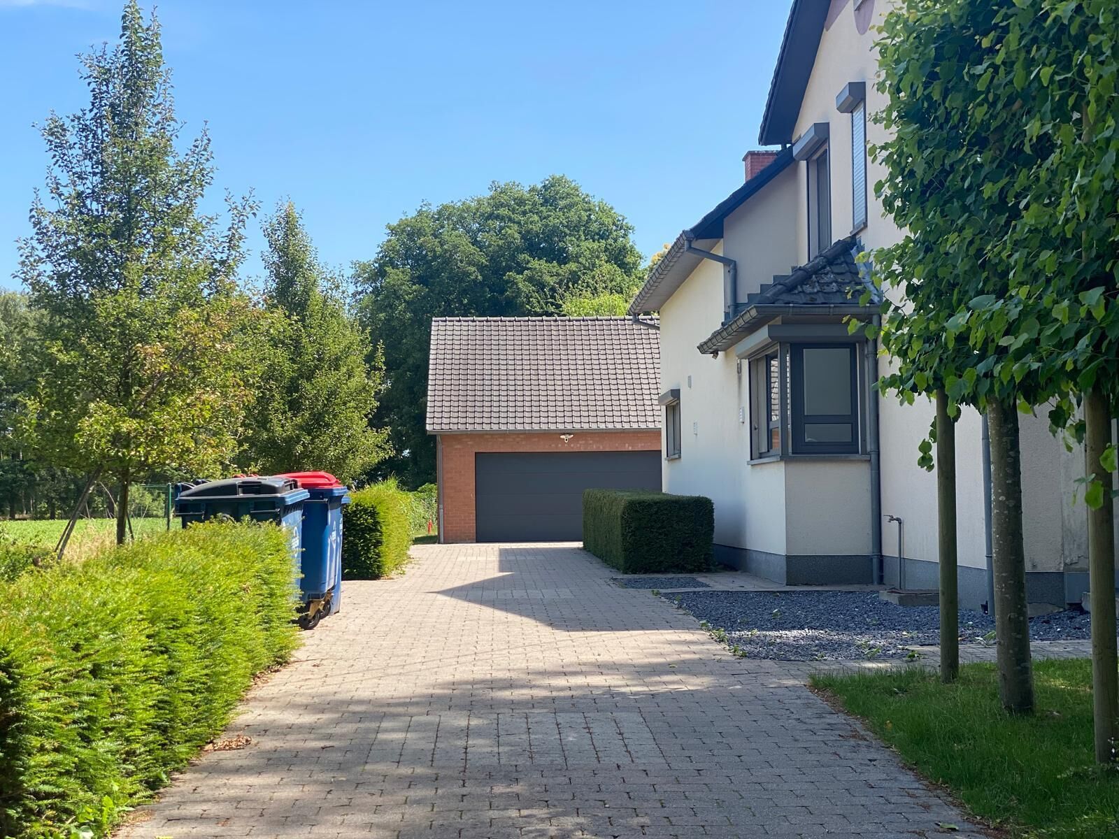 En asfalteret indkørsel fører til et hus med garage med tegltag, omgivet af vegetation og træer.