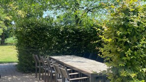 Een lange, rechthoekige tuintafel met stoelen, omringd door een haag.