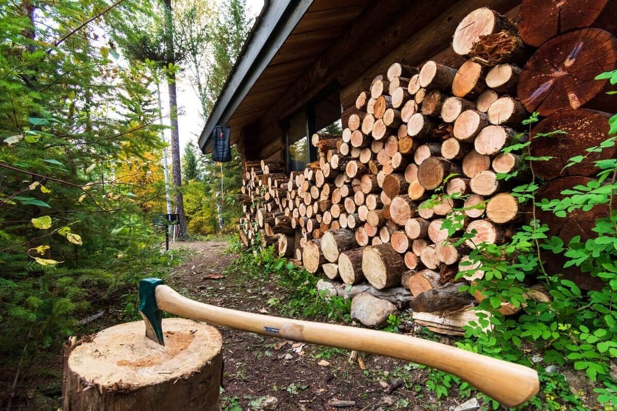 Une structure en bois, avec une pile de bûches et une hache appuyée contre le tronc d’un arbre.