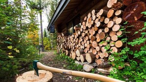 A wooden structure with a stack of logs and an axe leaning against a tree stump. - Off-Grid WoodLog Cabin (Blaeberry)