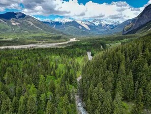 Miscellaneous - Off-Grid Skoolie Retreat (Blaeberry)