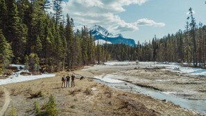 Miscellaneous - The Off-Grid Red Yurt in the woods (Blaeberry)