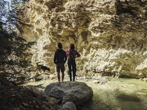 Miscellaneous - The Off-Grid Red Yurt in the woods (Blaeberry)