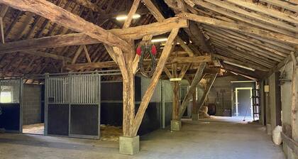 A1. De Fries: duplexsuite with terrace