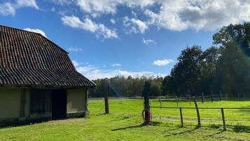 Terrein van de accommodatie