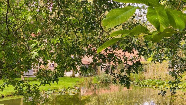 A serene pond surrounded by lush greenery and a brick building in the background. - A1. De Fries: duplexsuite with terrace (Oudsbergen)
