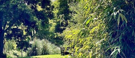 Divers