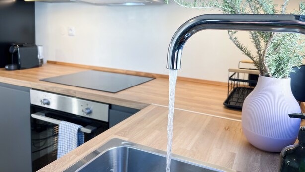Une cuisine moderne dotée d’un évier en acier inoxydable, d’un plan de travail noir et d’un vase blanc contenant une plante.