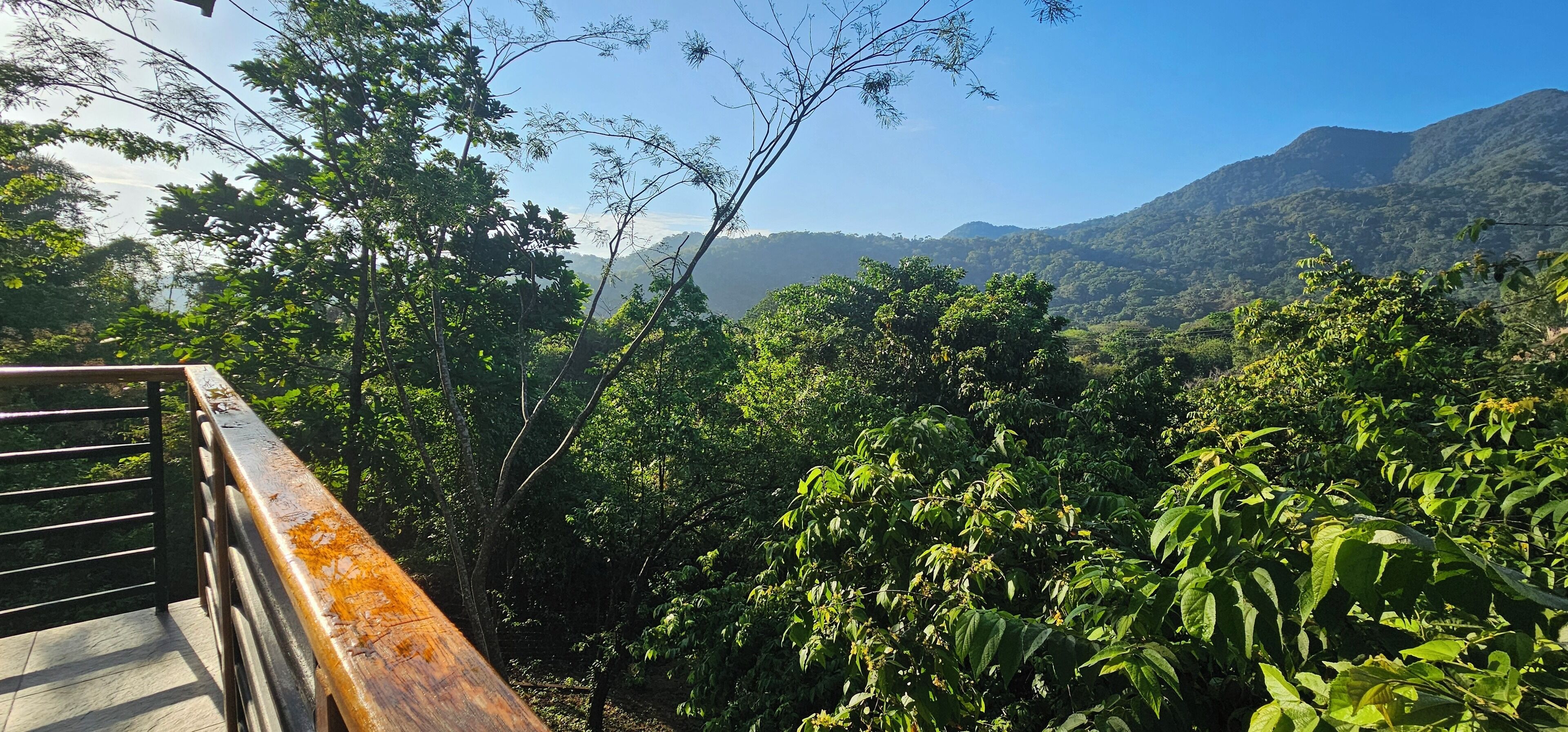 Vista desde la habitación
