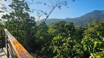 Vista desde la habitación