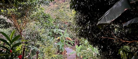 Un sendero conduce a una estructura de madera con dos puertas iluminadas, rodeada de vegetación densa y un paisaje montañoso.