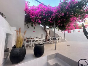 Outdoor dining - On Santorini, in the center of the island at Messaria a typical Cycladic house (Fira)