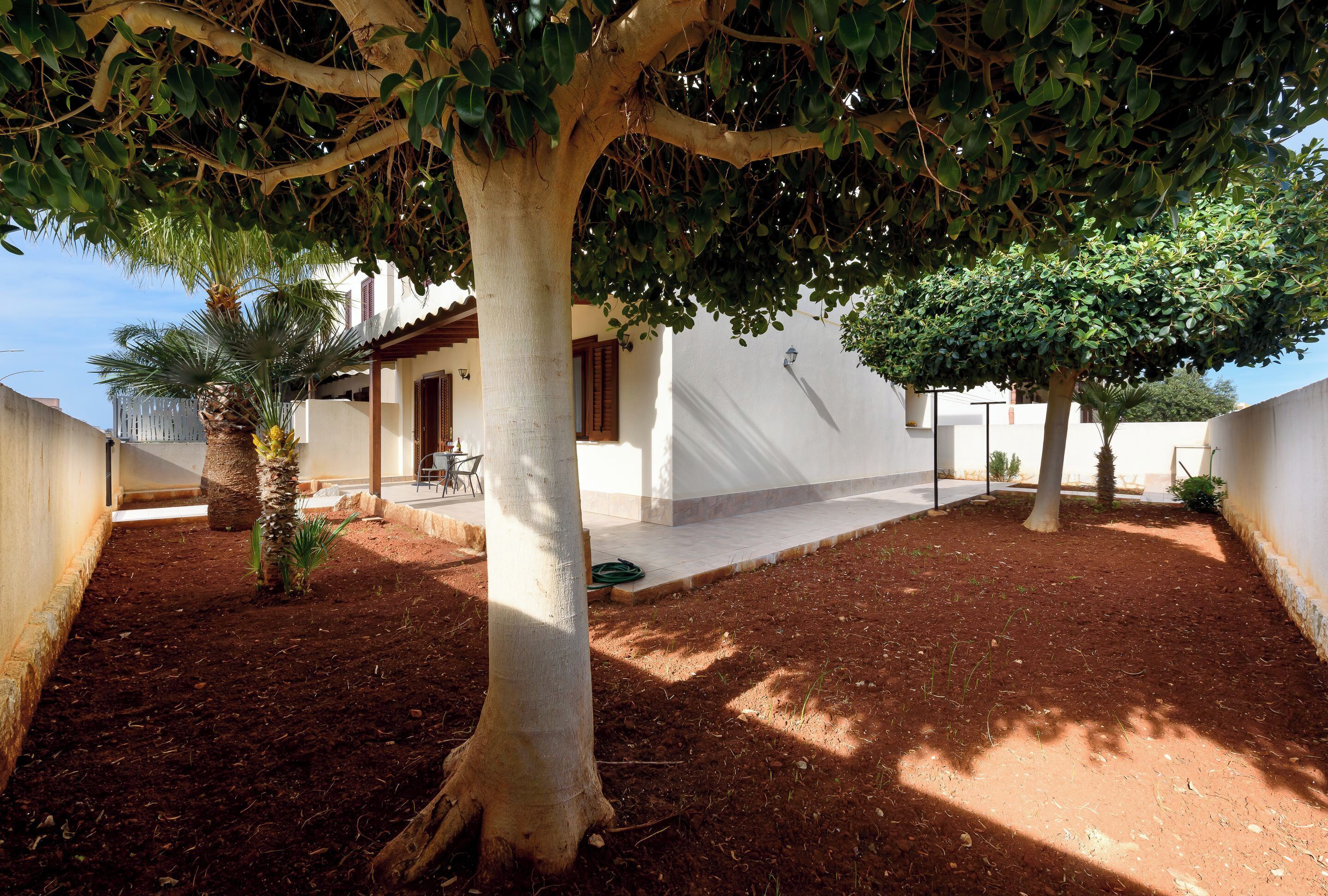 Un patio con un árbol grande, una palmera pequeña y un edificio blanco con un patio empedrado.