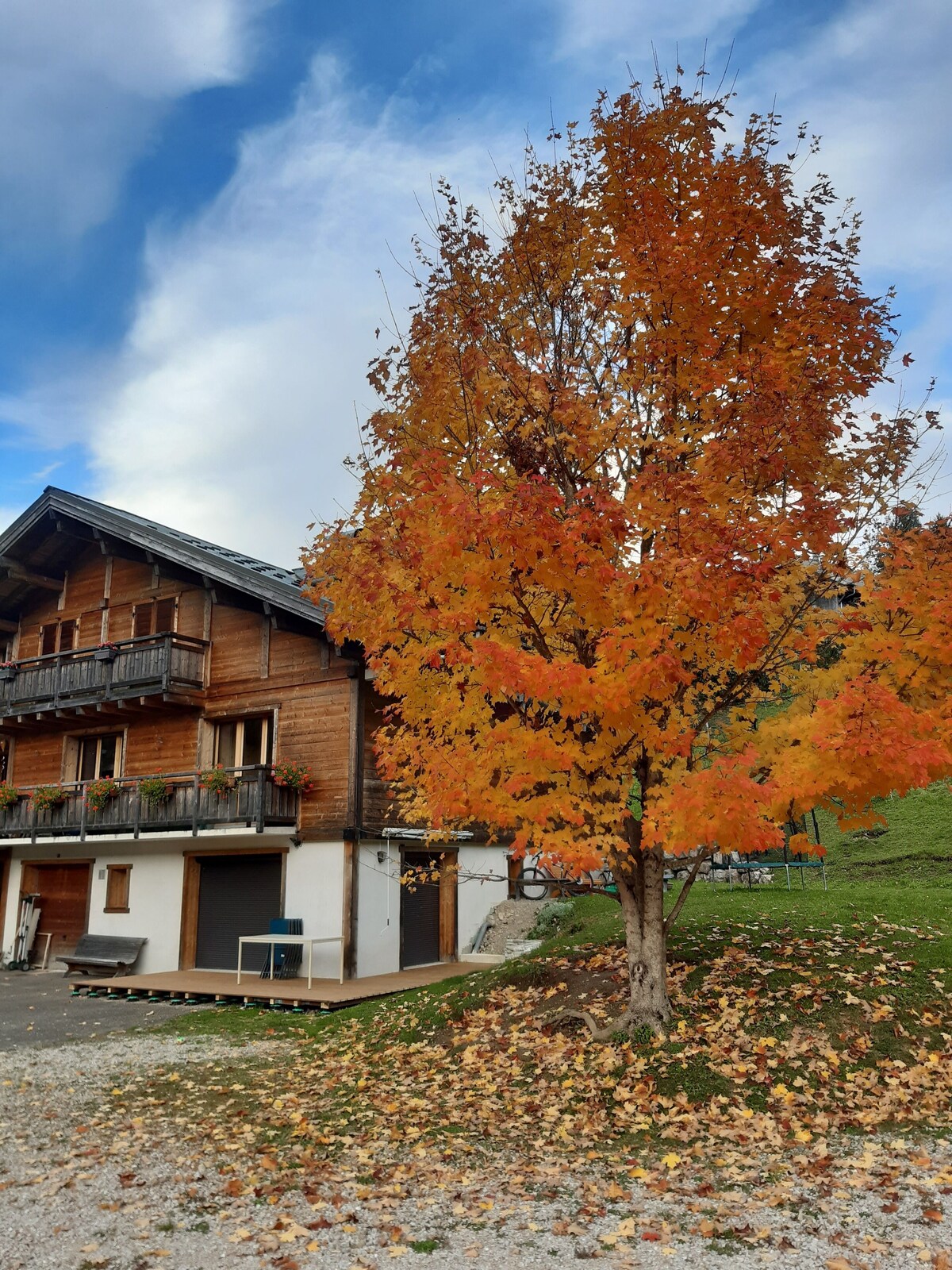 Image de profil de l’hôte