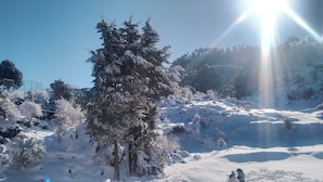 A snow-covered landscape with a prominent evergreen tree and a clear blue sky. - Hotel Himalaya View (Dehradun)