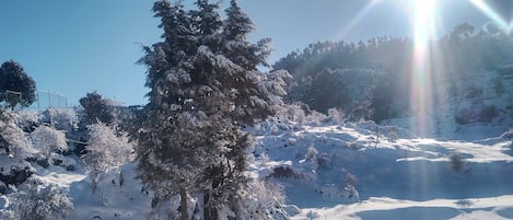 Vista frontal de la propiedad