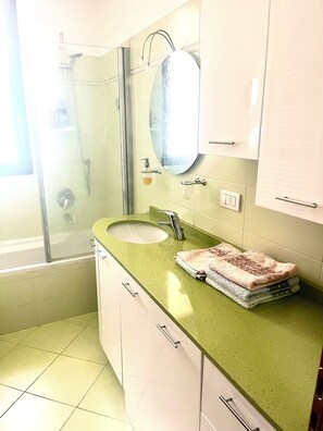 Shower, hair dryer, bidet, towels