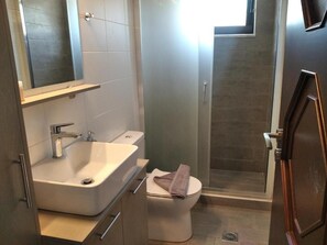 Shower, jetted tub, hair dryer, towels