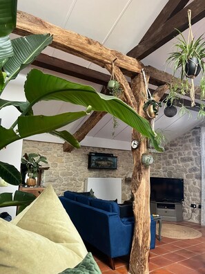 Smart-TV, peis, DVD-spiller og bøker