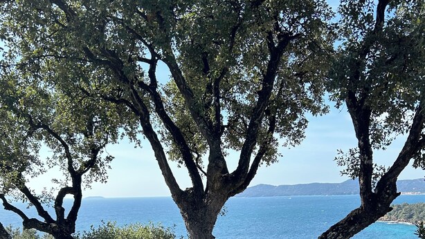 A wooden deck with two wooden lounge chairs under a large tree, overlooking a coastal view. - Magnificent villa with panoramic view of the Mediterranean Sea (Le Lavandou)