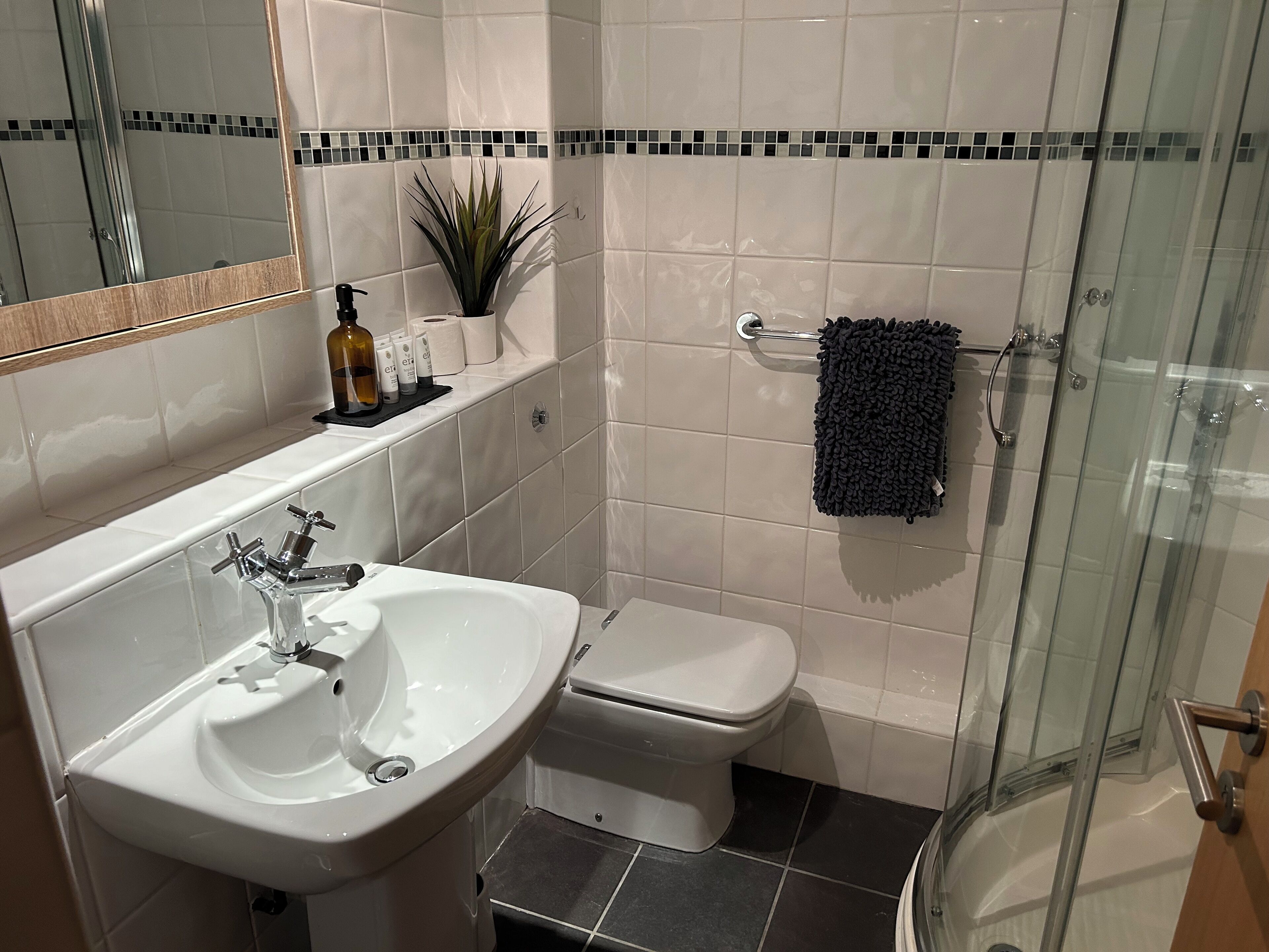 Hair dryer, towels, soap, shampoo