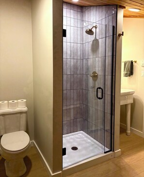 Ein Badezimmer mit Duschkabine, Toilette und Waschbecken.