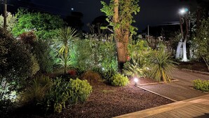 Un jardín bien iluminado con diversas plantas y un sendero de madera.