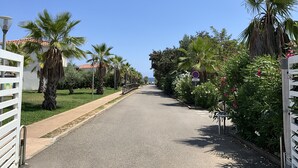 Eine asphaltierte Straße, gesäumt von Palmen, mit einem weißen Zaun an einer Seite.