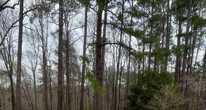 Secluded, Scenic One Bedroom Suite Masters Rental
