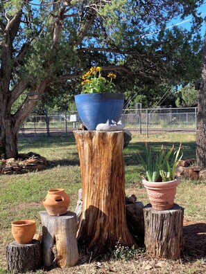 Terrein van de accommodatie