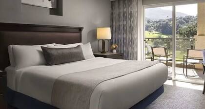 Hyatt Vacation Club At The Welk -Luxury Resort/AC, WiFi, fitness room